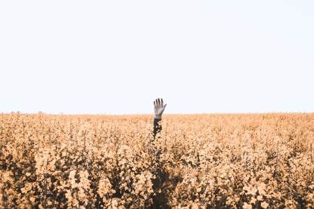 hand raised above a field of grass