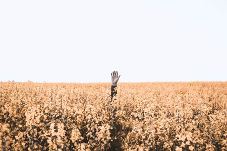 Questioning a colleague hand raised above a field of grass