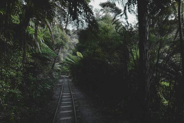 the ethics of personal relationships railway tracks winding through a rainforest