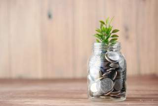 jar of coins with plant growing out the top