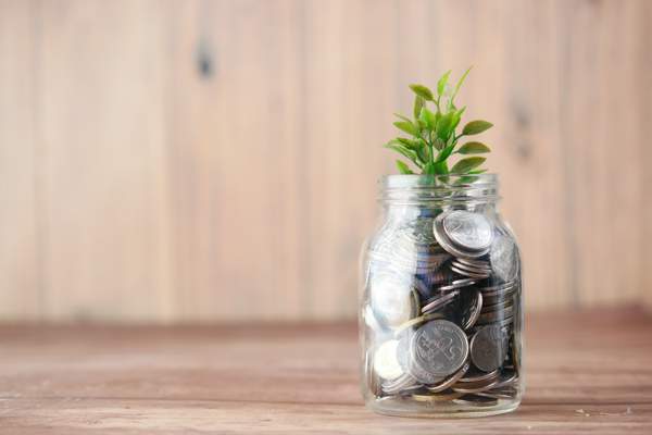 jar of coins with a plant growing out the top